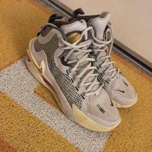 Nike Air Zoom BB NXT Grey Men's Shoes